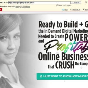 [Video Course] The Digital Gangsta by Julie Stoian