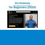 [Member Access] Art Anatomy for Beginners 2020 by New Masters Academy