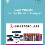 [Member Access] The Real Secret of Instagram by David Michigan