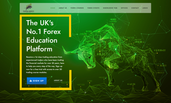 [Video Course] Financial Markets Online - VIP Membership - Image 1