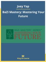[Video Course] Bazi Advanced Track 2020 by Joey Yap