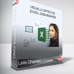 [Member Access] Visually Effective Excel Dashboards by Leila Gharani