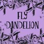 [Member Access] Trade On The Fly by Michele
