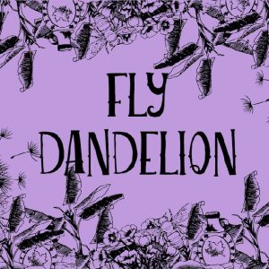 [Video Course] Trade On The Fly by Michele