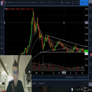 [Video Course] 24 Cryptocurrency Tutorials by Philakone