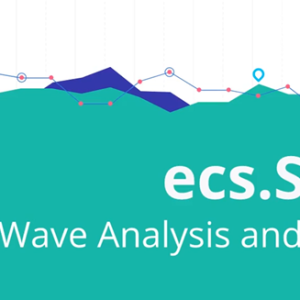 [Video Course] Simple Wave Analysis And Trading by Chris Svorcik