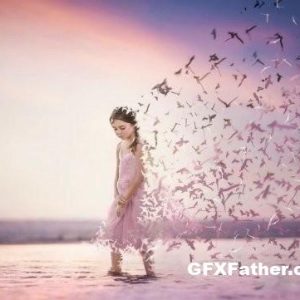 [Video Course] Lets's Fly Away Compositing Tutorial by Tara Lesher