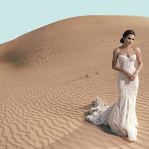 [Video Course] Destination Dubai - One Entire Destination Wedding by Brett FLorens