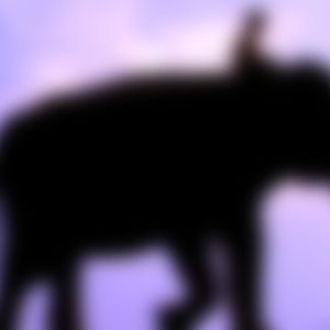 [Video Course] The Eyes Of Truth by Arash Dibazar