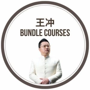 [Bundle Video Course] 王冲 19 Video Courses