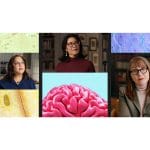 [Masterclass Course] Brain Health - Image 2