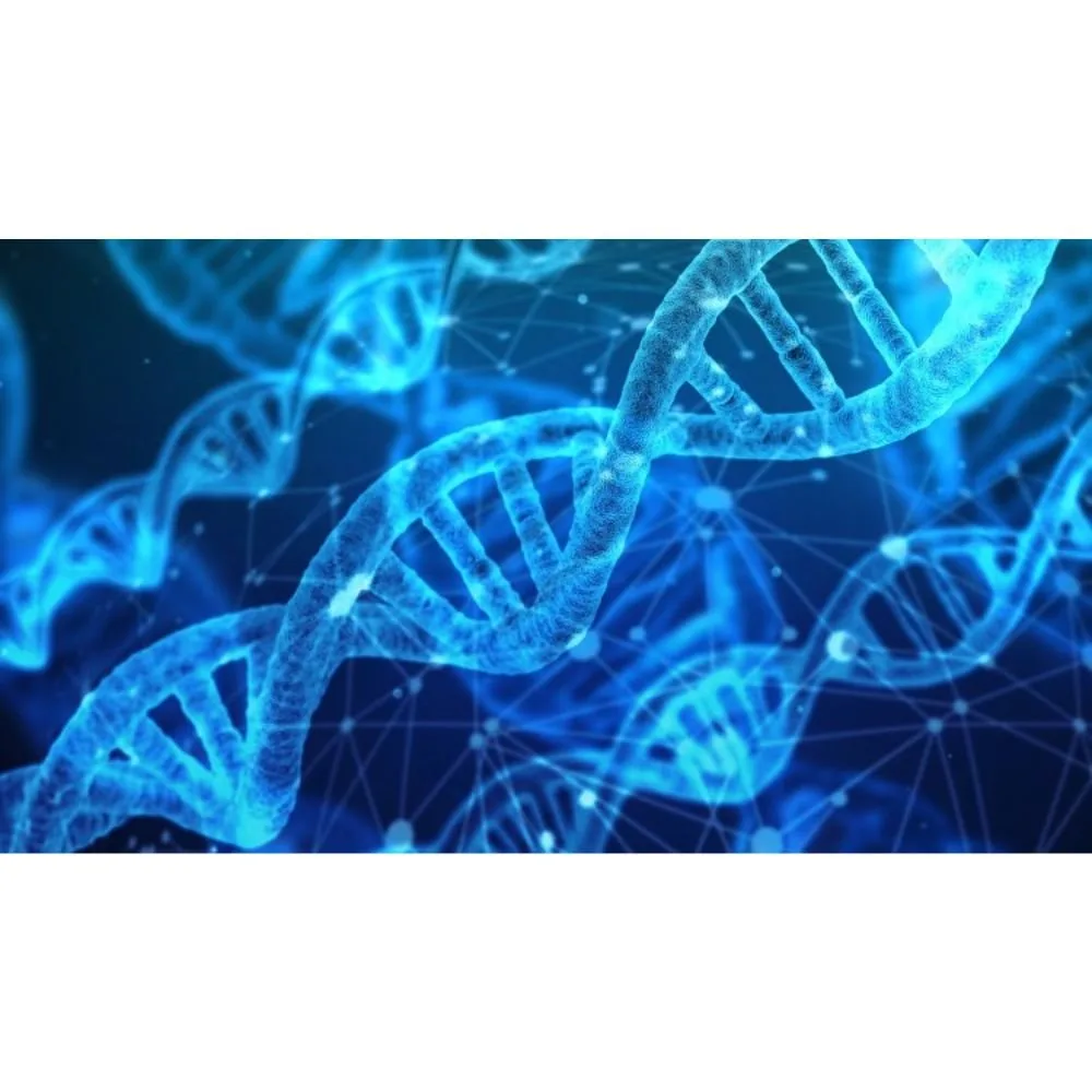 [Member Access] Genetics and Next Generation Sequencing for Bioinformatics by Shreeya Kumaresan - Image 1