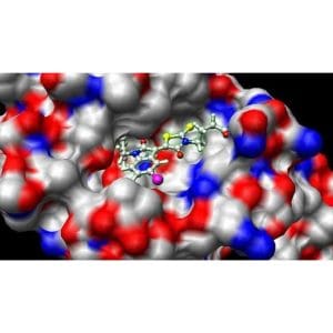 [Udemy Course] Bioinformatics; Learn Docking & Mol Dynamics Simulation by Muhammad Dujana