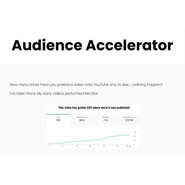 [PDF Course] Audience Accelerator by William Lee - Image 1