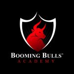 [Member Access] Indian Stock Market by Booming Bulls Academy - Image 2