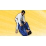 [Udemy Course] Brazilian Jiu Jitsu Techniques Vol. 2 - Passing the Guard by Sport Videos
