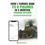 [Member Access] How I Turned $500 to 6 Figures in 2 months Trading Options by The Money Printers