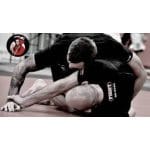 [Member Access] Jiu Jitsu Escapes That Work 2 by Gavin Hain