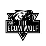 [Member Access] Dropshipping To Branding Course by Lara Rahib, The Ecom Wolf Pack - Image 2