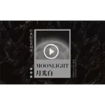 [Member Access] 经典配色系列课