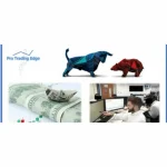 [Member Access] Complete Daily Trading Strategy - Entry, Stop and Profit by Alex @ Pro Trading Edge