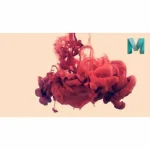 [Member Access] Maya Bootcamp - Projects Based Course by Raffi Bedross