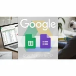 [Member Access] Google Sheets & Forms - Beginner to Expert by Joe Buchmann