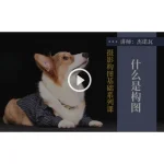 [Member Access] 摄影构图基础系列课 什么是构图