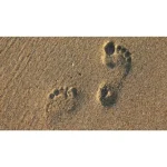 [Member Access] First steps in Reflexology by Deborah Casey