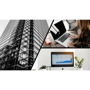 [Udemy Course] Corp. Finance #14 Financing-Commons Stock & Preferred Stock by Robert (Bob) Steele