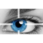 [Member Access] 10X SUPERHUMAN Focus: Maximize Your Brain & Focus by Silviu Marisk