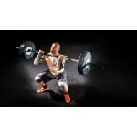 [Member Access] Intermediate Guide to Fitness and Muscle Building by Gam Sassoon