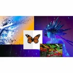 [Member Access] The Complete NFT (Non-Fungible Tokens) Course: Art and Tech by TJ Walker, Clarian North