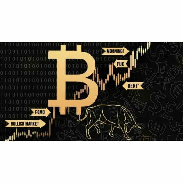 [Udemy Course] Bitcoin Trading & Bitcoin Mining Crypto Slang Course - Image 1