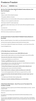 [Member Access] Freelance Freedom Framework by Jose Rosado - Image 3