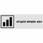 [Video Course] Stupid Simple SEO by Mike Pearson - Image 2