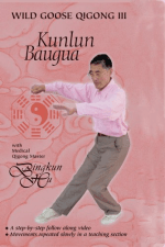 [Member Access] Wild Goose Qigong Complete Set (9 DVDs) by Dr.Bingkun Hu - Image 4