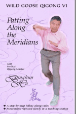 [Member Access] Wild Goose Qigong Complete Set (9 DVDs) by Dr.Bingkun Hu - Image 3