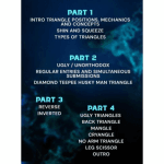 [Member Access] Master The Triangles by Karel "Silver Fox" Pravec - Image 2