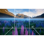 [Member Access] Landscape Photography Tutorials - Into The Light - Composition Episode