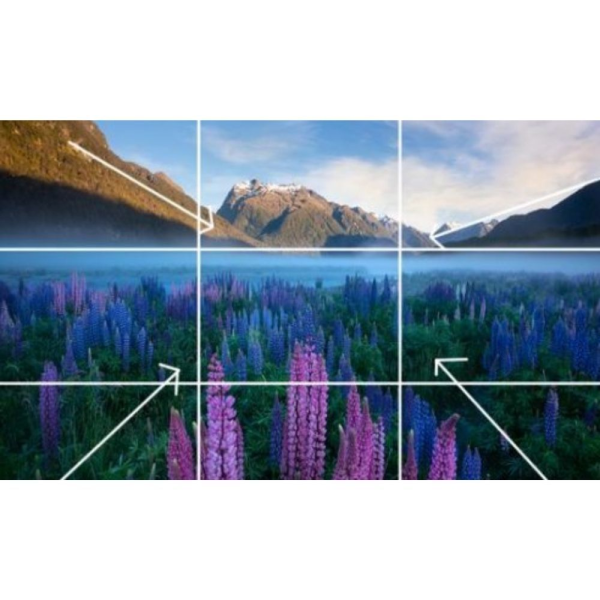 [Video Course] Landscape Photography Tutorials - Into The Light - Composition Episode - Image 1