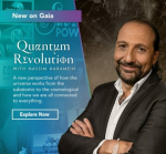 [Video Course] Quantum Revolution by Nassim Haramein, Gaia - Image 3