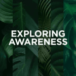 [Member Access] Exploring Awareness by Mukti, Yoga International