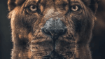 [Member Access] Create Contemporary Art with Photoshop by Zenja Gammer - Image 3