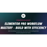 [Member Access] Elementor Pro Workflow Mastery by LivingWithPixels