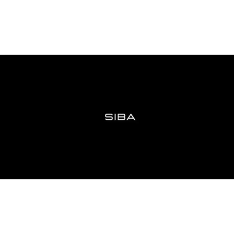 SIBA Ecom Mastermind by Salif Sibane