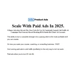 Scale With Paid Ads In 2025 by Sam O Halloran