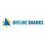 Local Authority Accelerator by Tom Gaddis & Nick Ponte, Offline Sharks