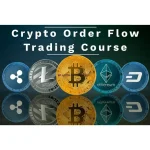 Crypto Order Flow Trading Course by Mike Valtos, OrderFlows