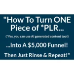 $5K PLR And AI Strategy by Tony Shepherd